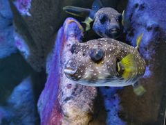 -成都浩海立方海洋公园