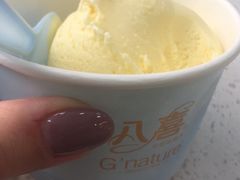 -八喜G’nature冰淇淋旗舰店