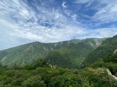 -牛背梁国家森林公园
