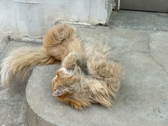 -李叔同故居纪念馆