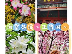 -海棠花溪(元大都城垣遗址公园)