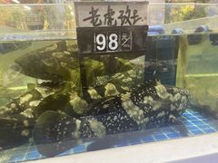 -大众海鲜(巨龙北路店)