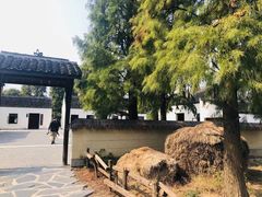 -同里国家湿地公园
