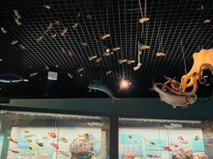 -天津自然博物馆