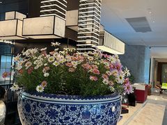 -洛阳国际大酒店