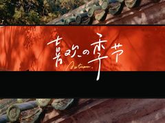 -北京国子监胡同
