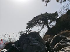 -华夏良子·足道SPA艾灸(龙潭路店)