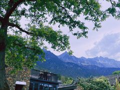 -玉湖村