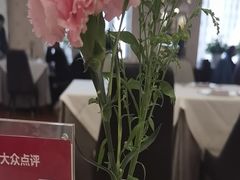 -新侨三宝乐西餐厅(崇文门店)