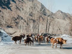 -太子岭滑雪场