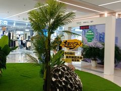 -凯德MALL(望京店)