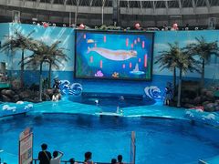 -海合安成都极地海洋公园