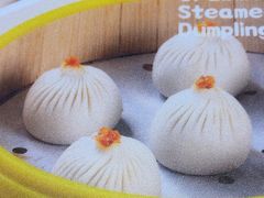 -小杨生煎(深圳岗厦北店)