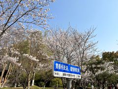 -堤角公园