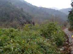 -会稽山峡洞漂流-上青古道