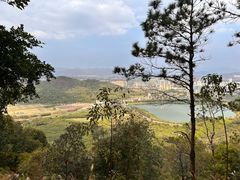 -风云岭森林公园