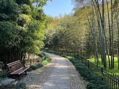 -杭州植物园