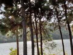 -南京市无想山景区