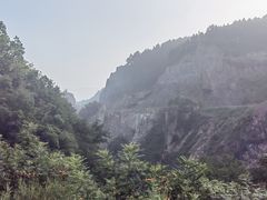 -王莽岭风景区