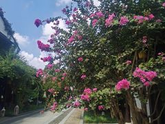 -鑫花溪牛肉米粉(文星广场店)