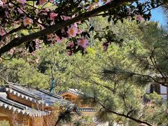 -径山寺
