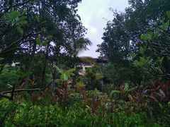 -西双版纳融创皇冠假日度假酒店