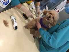 -骐奇宠物诊疗中心(南亭公路店)