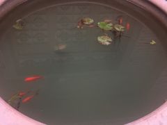 门口摆放的鱼池！-瓯菜排档·温州海鲜(玕南店)