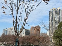 -运河游船(武林门码头)