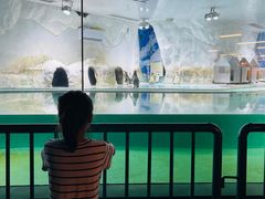 -北戴河圣蓝海洋公园