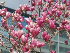 -亦庄创意生活广场