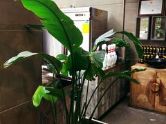 -HIGH FIVE哈福手工汉堡(桂林路店)