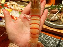 -月龍吟(朝龙汇店)