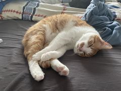 -纽斯桑拿会所(天山店)