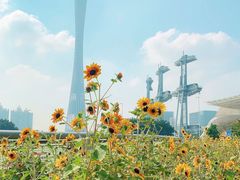 -海心沙亚运公园