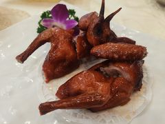 -海晖酒楼·顺德鱼生(荣华店)