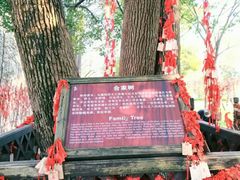 -乌镇西栅景区-月老庙