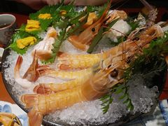 -初花·日本料理