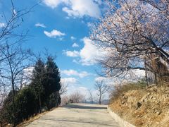 -鬼笑石后山停车场