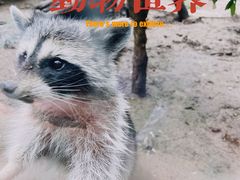 -天津市动物园