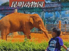 -昆明动物园