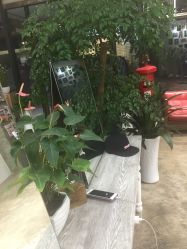 -木北护肤造型