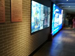 -太平洋影院(西村店)