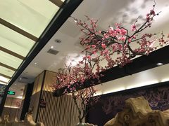 -老板恋上鱼(荣盛广场店)