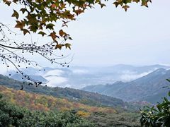 -广州市石门国家森林公园