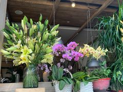 -春暖花开(西溪店)