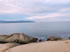 -金盆阿嬷香菇茶叶蛋(玄光店)