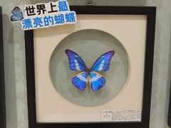 -深圳龙华星河COCO City(民治店)