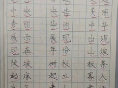 -赵汝飞练字硬笔书法(大钟寺校区)