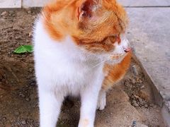 -西安碑林博物馆